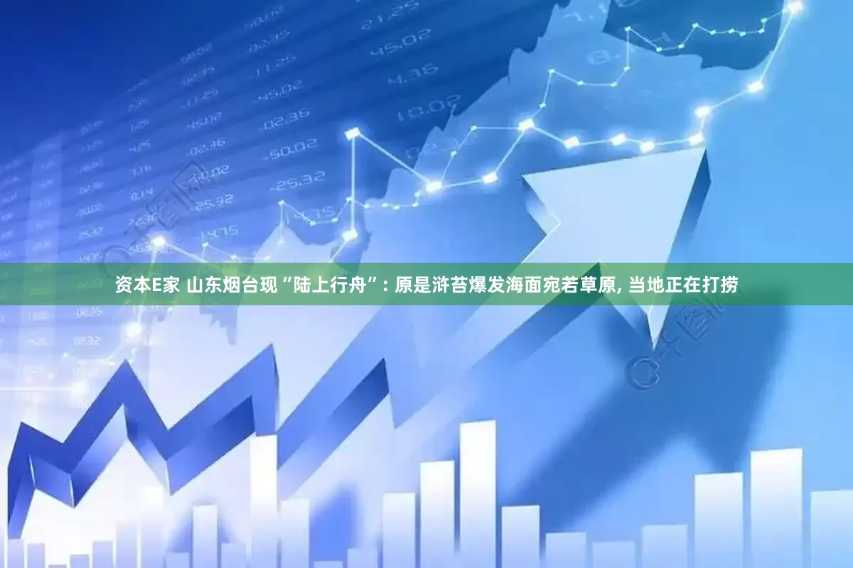 资本E家 山东烟台现“陆上行舟”: 原是浒苔爆发海面宛若草原, 当地正在打捞