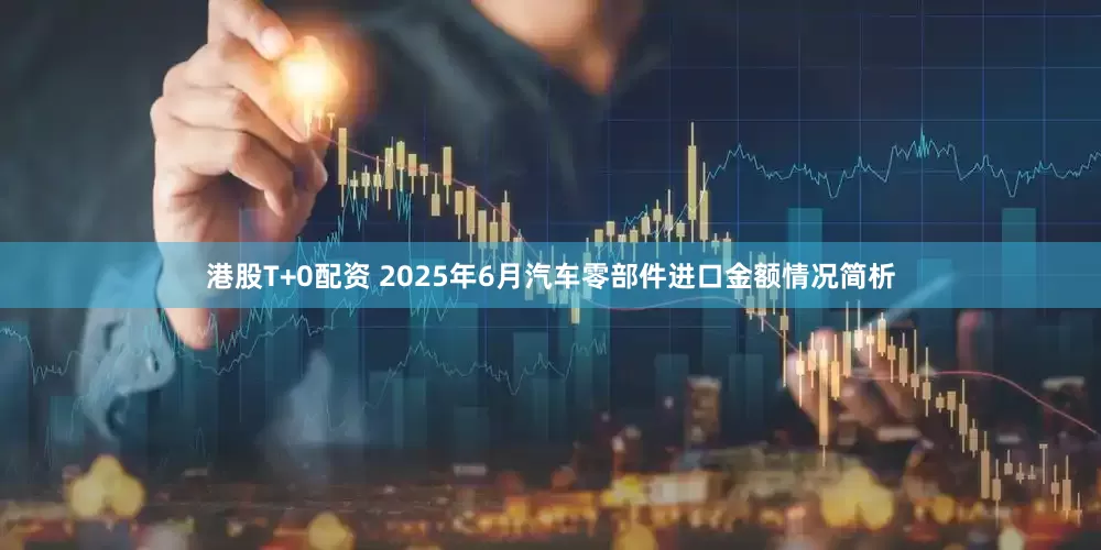 港股T+0配资 2025年6月汽车零部件进口金额情况简析